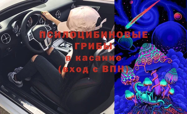 ALPHA PVP Гусев