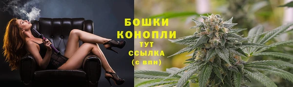 ГАЛЛЮЦИНОГЕННЫЕ ГРИБЫ Гусиноозёрск
