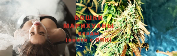 ALPHA PVP Гусев