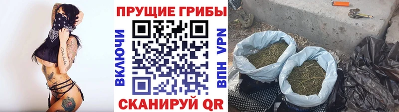 Купить  Богородск  Псилоцибиновые грибы ЛСД 